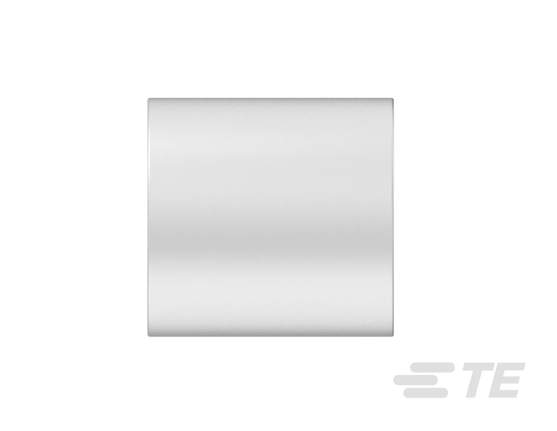 Ferrule Stainless Steel